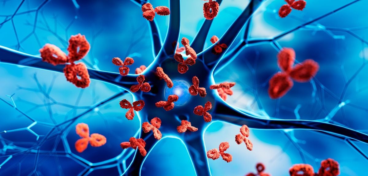 Healthcare Information Network